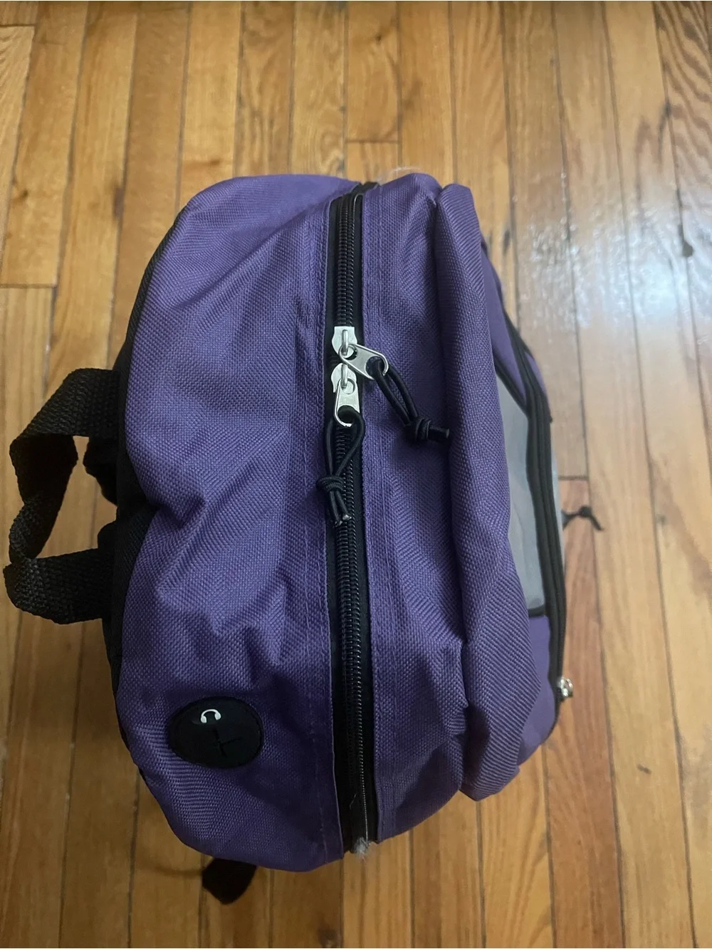 Purple and Gray Backpack